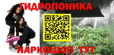 гидра Малоярославец