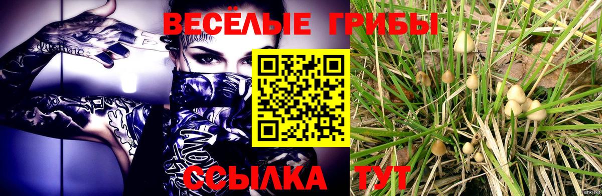 Псилоцибиновые грибы мицелий  цена наркотик  Вход с VPN  Тулун  Галлюциногенные грибы мухоморы 