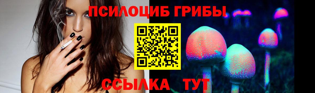 Псилоцибиновые грибы прущие грибы Тулун